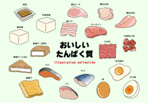 たんぱく質